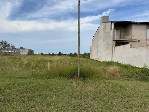 Friedrich Von Hayek S/N