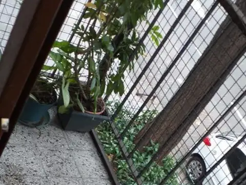 Honduras  4000 , Piso 1