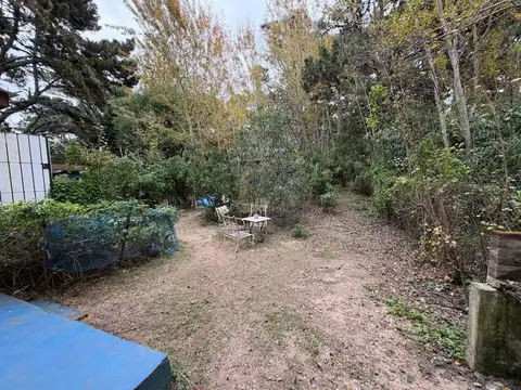 Pinamar entre 36 y 37 600