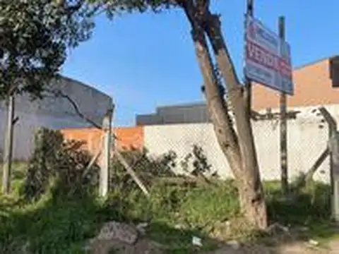 Terreno en Venta 25  mts Fondo