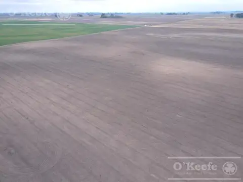 Campo en venta mixto de 338 has Bolivar