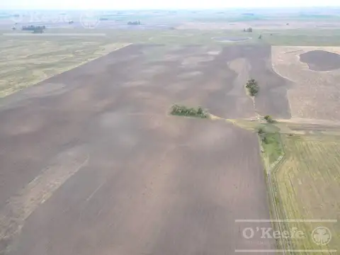 Campo en venta mixto de 338 has Bolivar