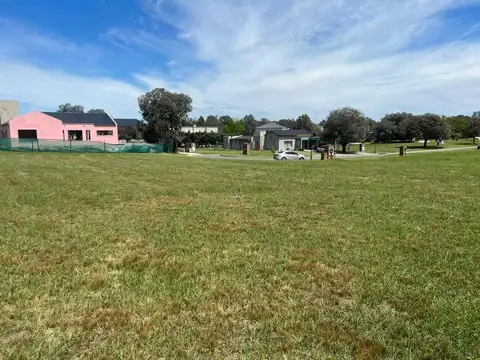 VENTA