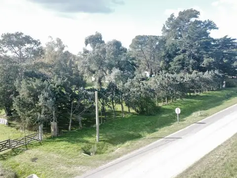 RUTA 5 100