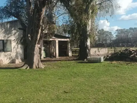 VENTA DE EXCLUSIVO PREDIO DE 11 HECTÁREAS SOBRE RUTA 5 - OLIVERA, BUENOS AIRES