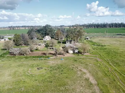 VENTA DE EXCLUSIVO PREDIO DE 11 HECTÁREAS SOBRE RUTA 5 - OLIVERA, BUENOS AIRES