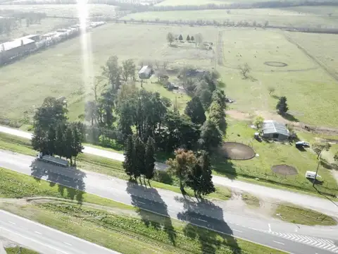 VENTA DE EXCLUSIVO PREDIO DE 11 HECTÁREAS SOBRE RUTA 5 - OLIVERA, BUENOS AIRES