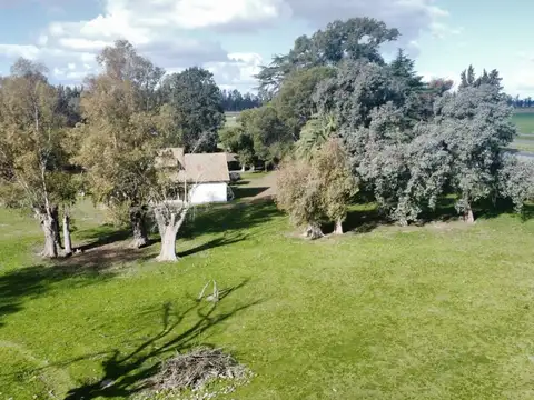 VENTA DE EXCLUSIVO PREDIO DE 11 HECTÁREAS SOBRE RUTA 5 - OLIVERA, BUENOS AIRES