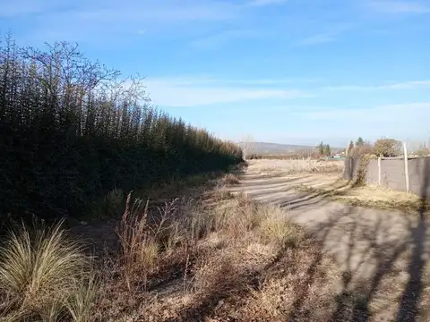Terreno para Galpon de Empaque y Frutas con Frio