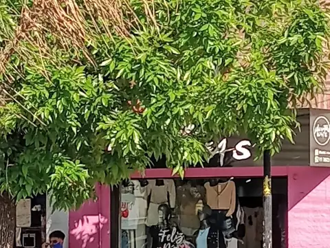 Av.Angel Torcuato de Alvear 500