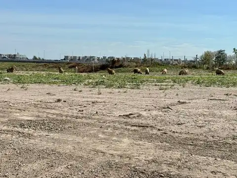 Terreno en Venta en Nordelta, USD 250.000