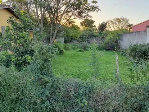 VENTA TERRENO 230M2 LOS TILOS