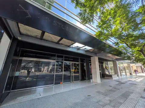 Local de 16 metros de frente sobre Av. Libertador