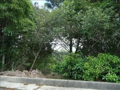 Terreno en Venta 3  mts Fondo