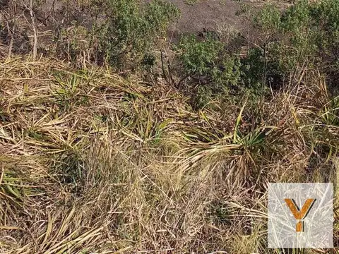 Terreno en Venta en Balcarce, USD 30.000