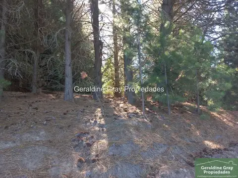 Terreno / Lote en venta de 2004m2 ubicado en Chapelco Golf & Resort