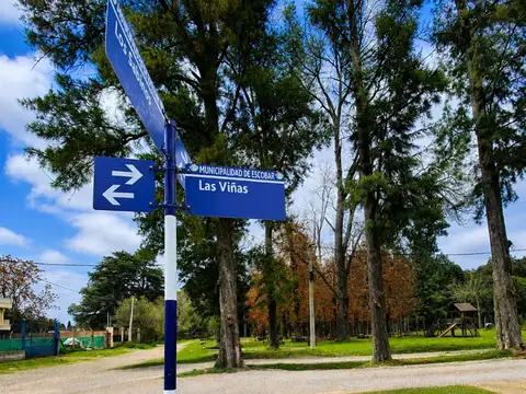 Las Viñas