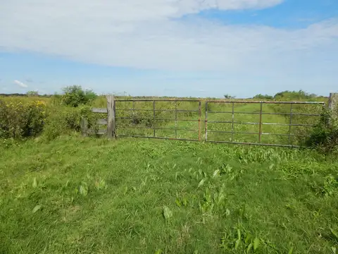 Campo en Venta con Alambrado