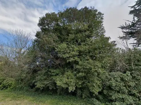 Terreno en venta - 723Mts2 - Mar del Plata