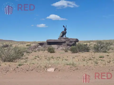 Chocon Medio - Sector Medanos