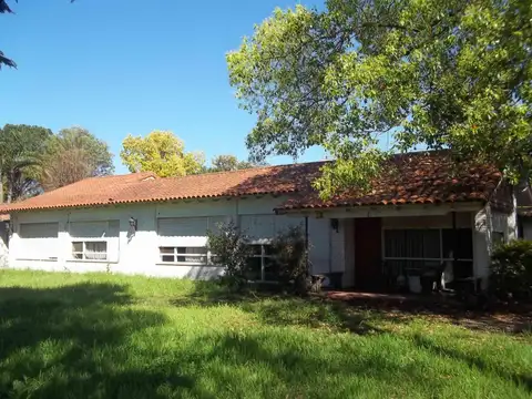 Herrera , Maestro 240