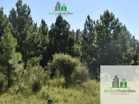 Terreno en Venta 200  mts Fondo
