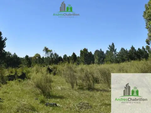Terreno en Venta 200  mts Frente