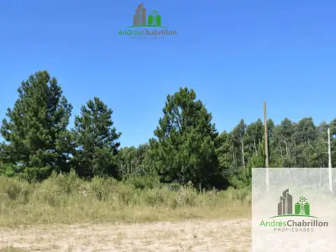 Excelente fracción de 4 hectáreas sobre RN 015 – Ideal desarrollo