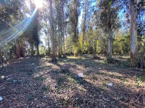 18 e/ Circunvalación 4 y 33