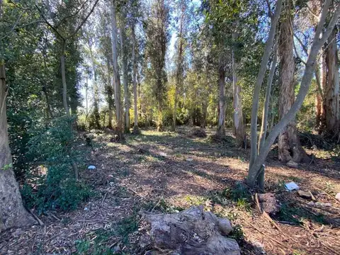 Terreno en Venta de 576,0 m2