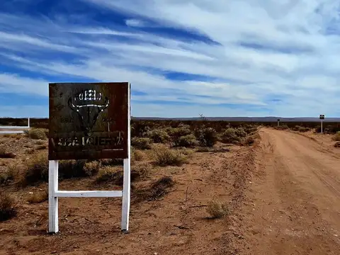 Lote de 1 ha en Pueblo Vaca Muerta - Senillosa, Neuquén