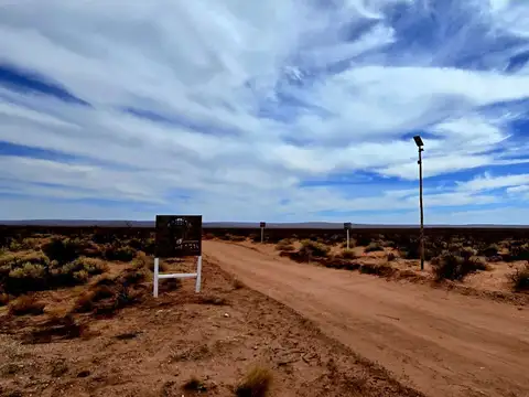 Terreno en Venta de 10000,0 m2