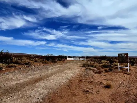 Lote de 1 ha en Pueblo Vaca Muerta - Senillosa, Neuquén