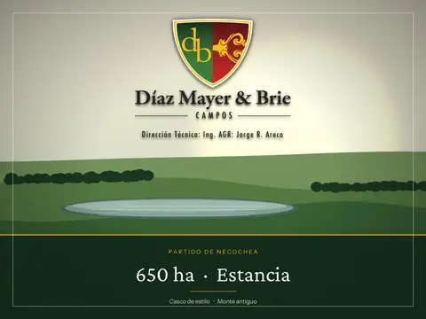 Campo en Venta en Necochea, Partido de Necochea