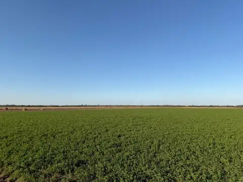 Campo en Santa Clara De Buena Vista