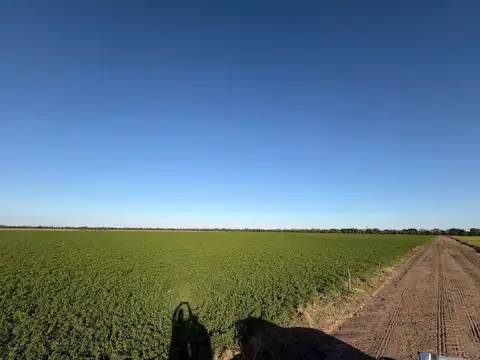 Campo en Santa Clara De Buena Vista