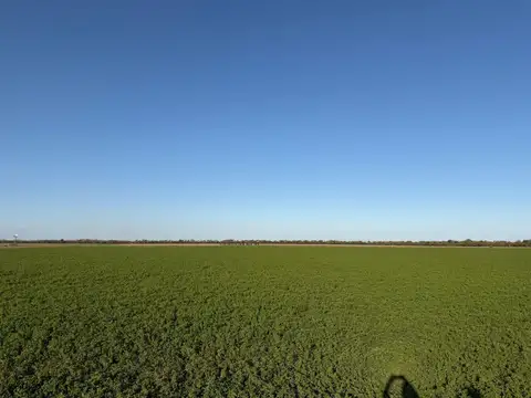 Campo en Santa Clara De Buena Vista