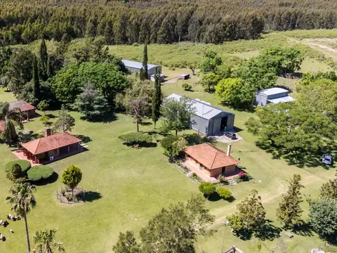 VENTA CAMPO 60H CASCO  Y GALPONES EN FRAY BENTOS
