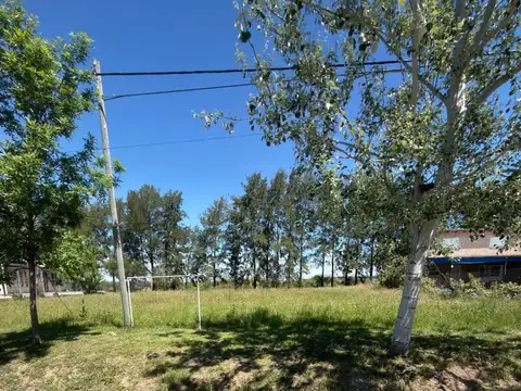 Terreno en Venta 12  mts Fondo