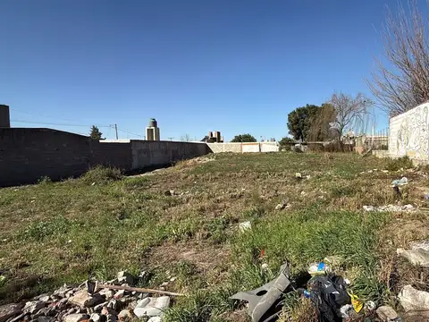 Juncalillo 600