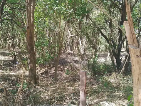 TERRENO DE UNA HECTÁREA  + VIVIENDA A TERMINAR
