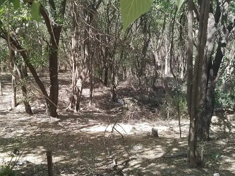Terreno en Venta de 10000,0 m2
