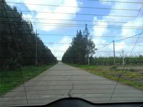 Campo en Venta Agrícola