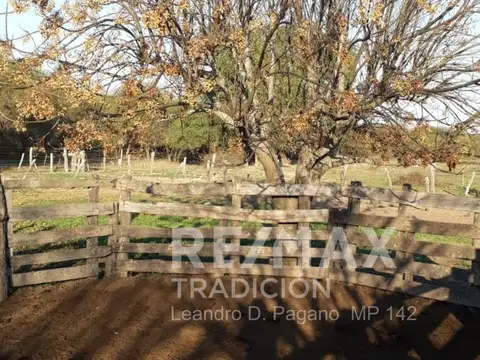 Campo Ganadero en Venta en Dpto Tapenaga
