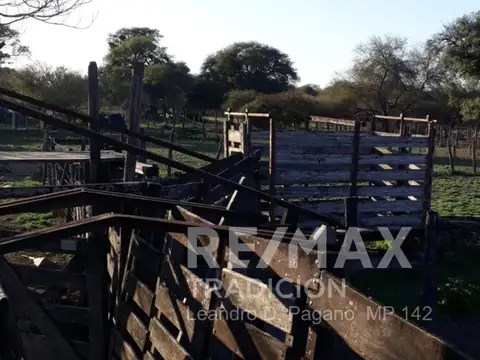 Campo Ganadero en Venta en Dpto Tapenaga