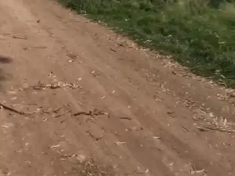 Terreno en Venta en General Rodriguez, USD 655.000