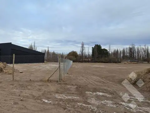 En Alquiler Galpón de 420m2 en lote de 3500m2 sobre calle Trenque Lauquen Neuquén