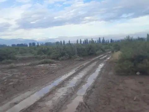 Venta terreno Zona Industrial Lavalle Mendoza 6Ha