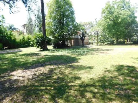 General Alvarado 300