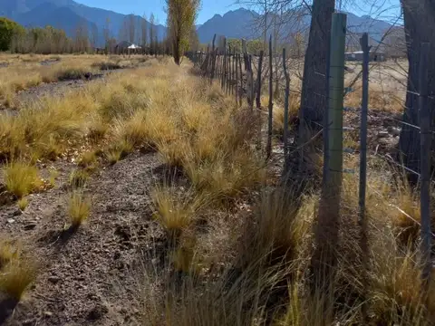 LOTE EN USPALLATA - 4000 M2